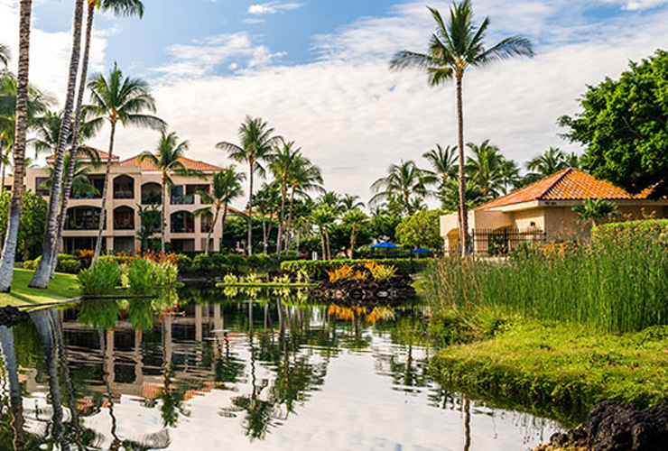 自然と調和したコンドミニアム