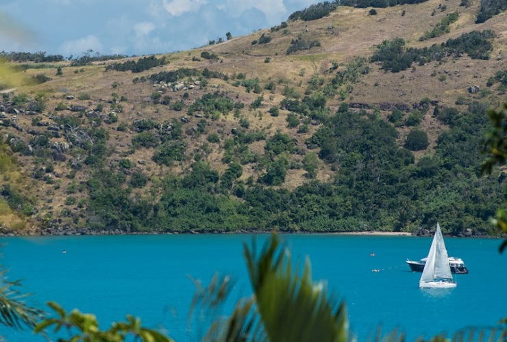 美しいトロピカル ガーデンを通して海の景色を一望できます