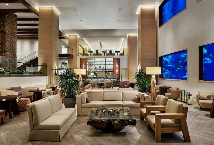 水槽を眺めながらお寛ぎいただけます