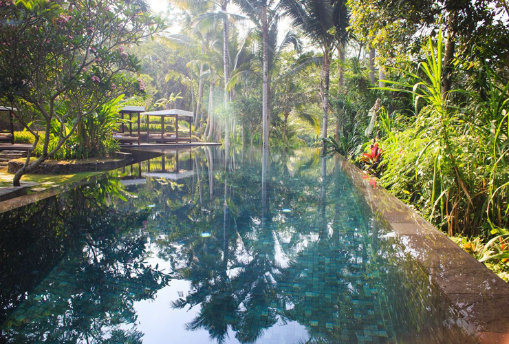 自然の中のメインプール