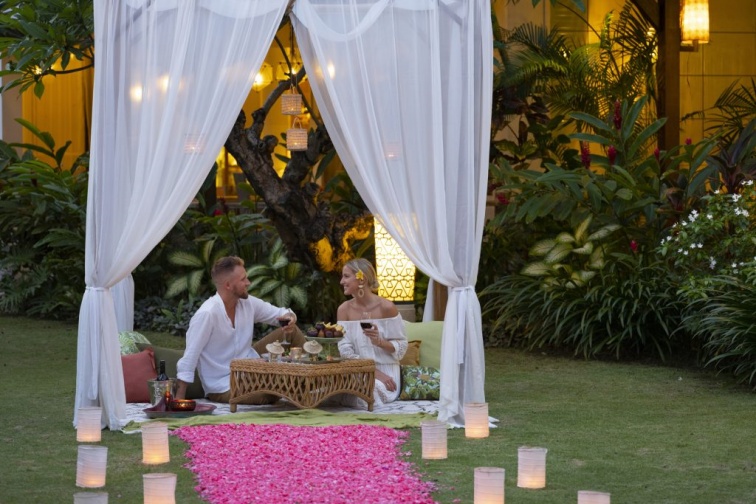 特別空間でピクニック