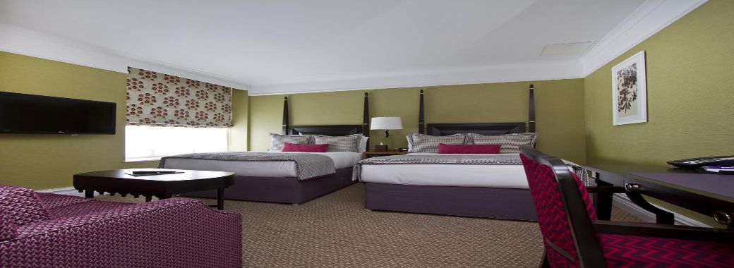 洗練された客室2