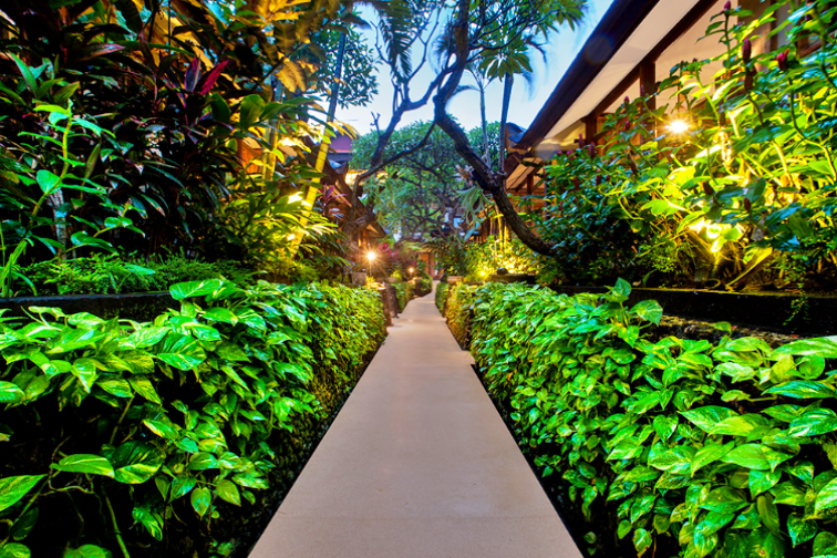 緑豊かなリゾート