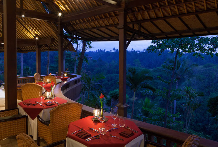 レストランからの熱帯雨林の眺め