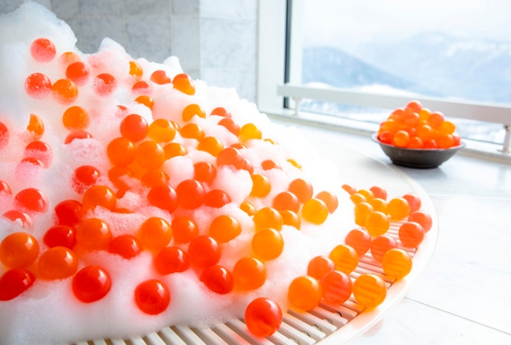 星野リゾート トマム ザ･タワー 1室限定「鮭ルーム」