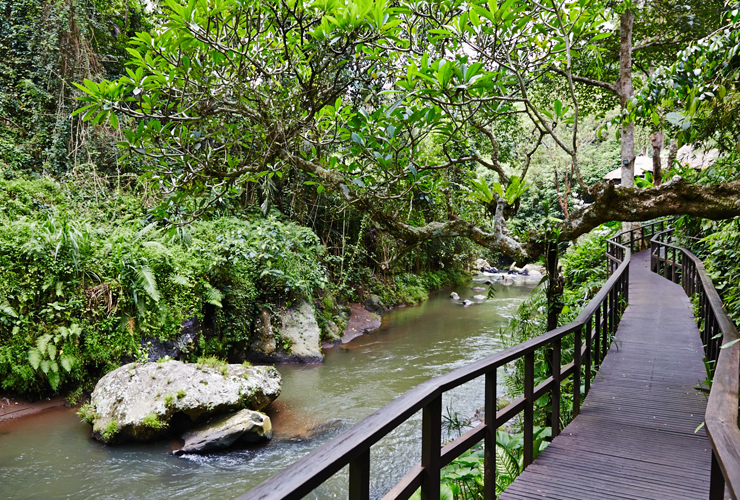 ホテルの川沿いの風景