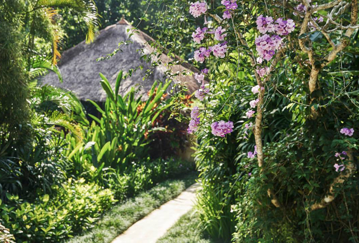 ヴィラへ続く道