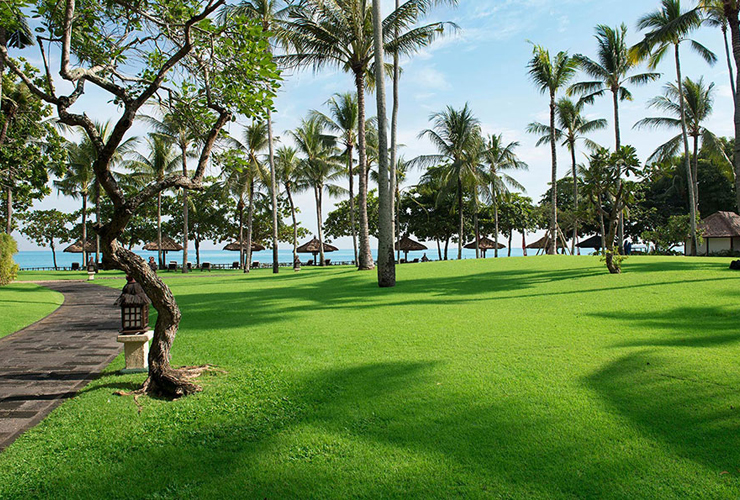 ホテル内のガーデン