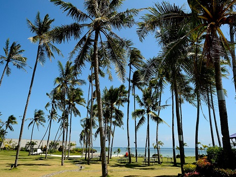 ソレア シービュー リゾート 