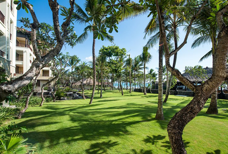 敷地内のトロピカルガーデン