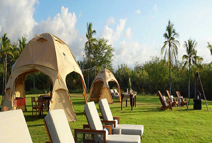 グラピングもできるキャンプエリア