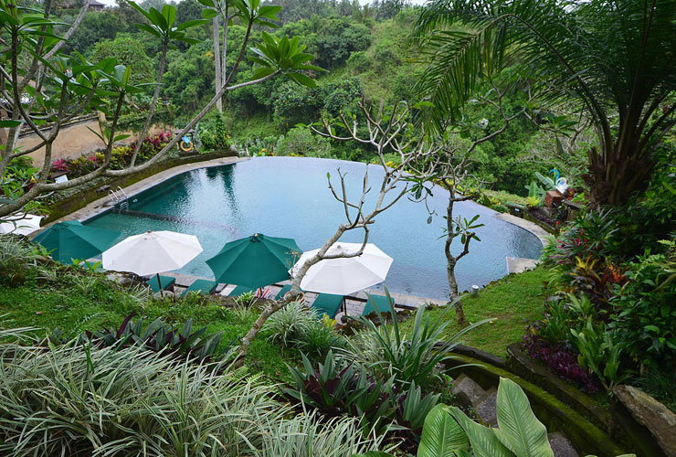 自然に溶け込むようなスイミングプール