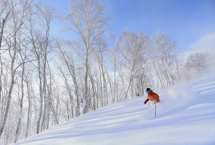 ルスツリゾート ゲレンデイメージ