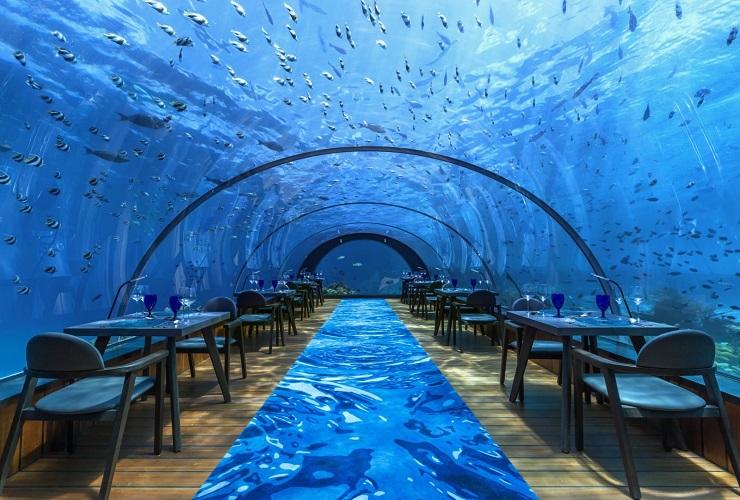 世界最大規模の水中レストラン！幻想的な雰囲気の中、お食事を楽しめます