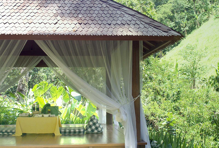 自然を楽しめるピクニックランチ（有料）