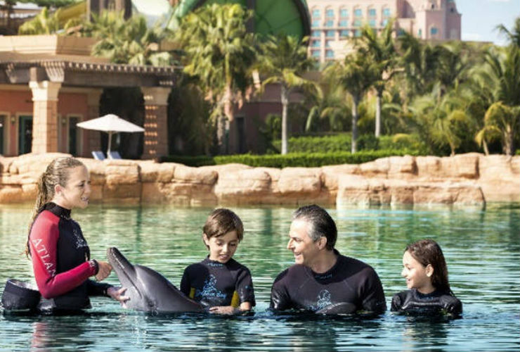 イルカとも触れ合えます