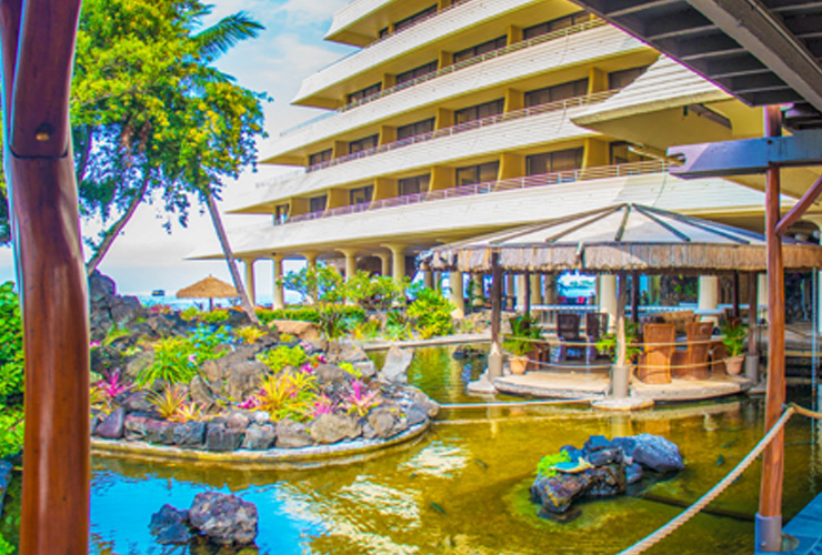 プライベートラグーンでは色とりどりの魚を見ることができます