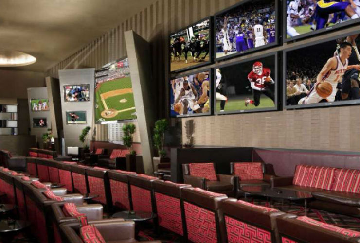 スポーツ観賞用の施設もあります