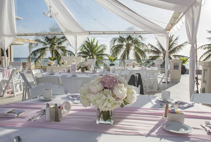 「カ・ホニホニ」太陽に祝福されながらもう1回愛の誓いを