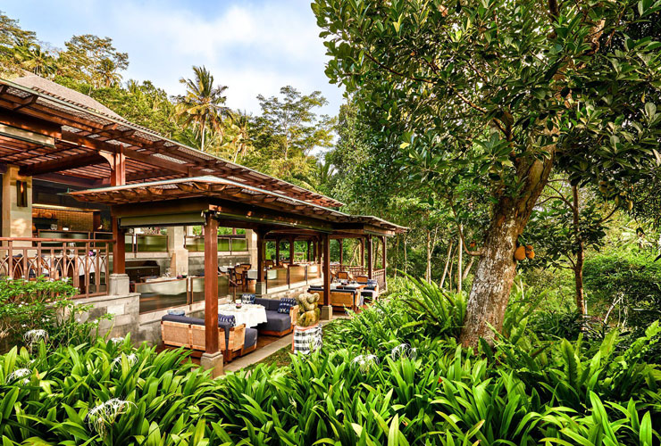 自然と溶け込むデザインのレストラン