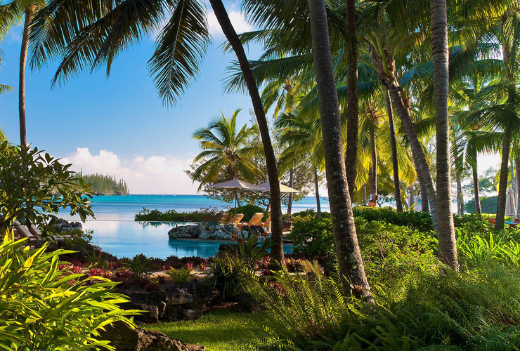 リゾート内の緑のガーデン