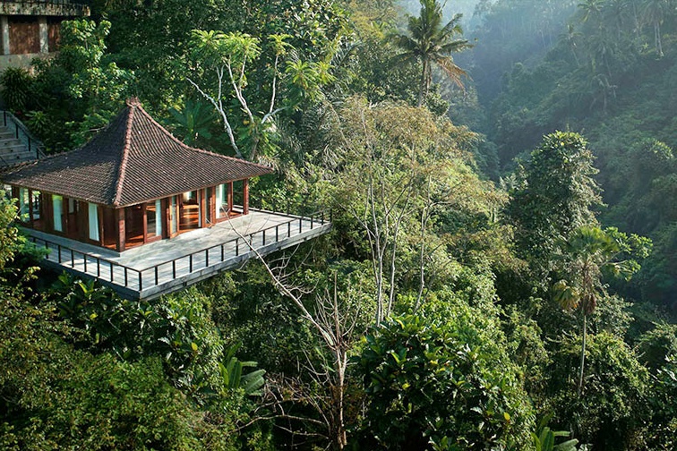 森の中のヨガスタジオ