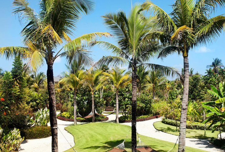 敷地内の緑のガーデン