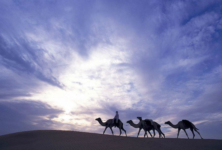 アル マハ ア ラグジュアリー コレクション デザート リゾート & スパ ドバイキャメルライド