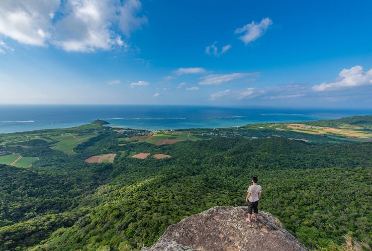 車で10分ほどのところにある野底岳