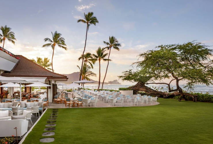 ディナーも素敵なひと時を演出してくれます