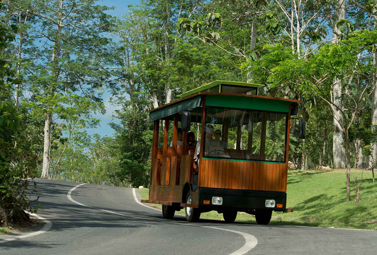 アヤナリゾートへの無料シャトル