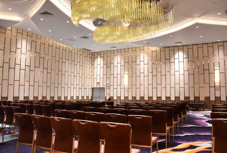 デュシタニ マクタン セブ 多目的室