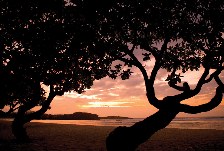 美しいサンライズ