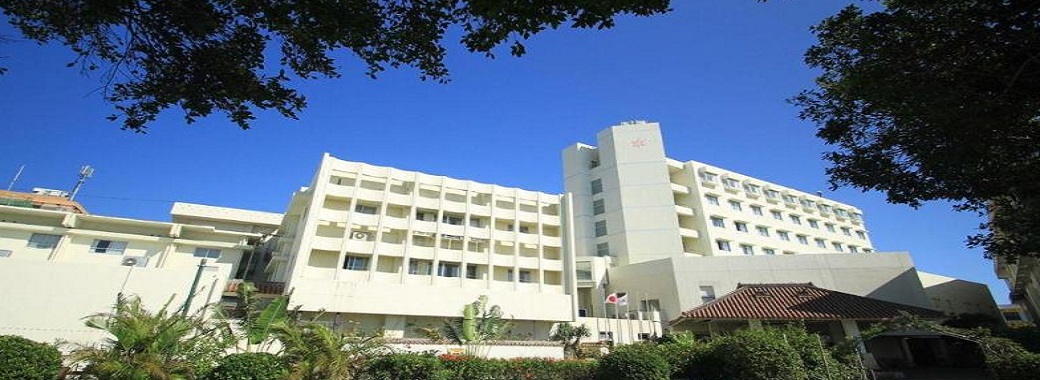 南の美ら花 ホテルミヤヒラTOP