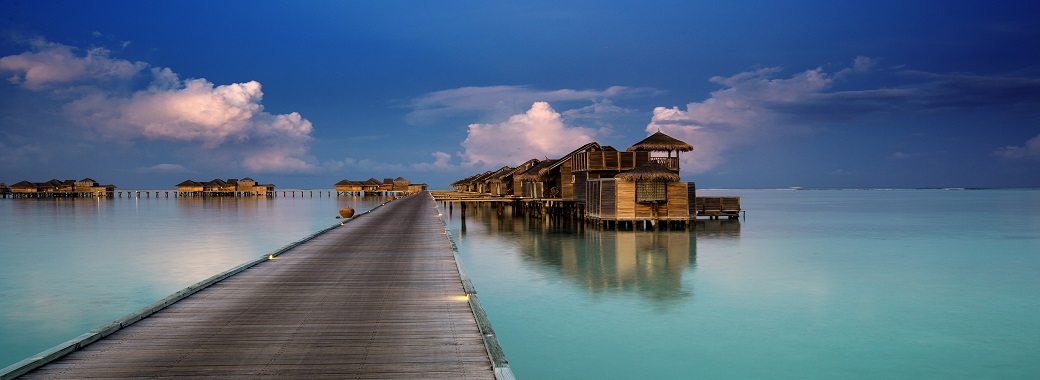 ギリランカンフシ