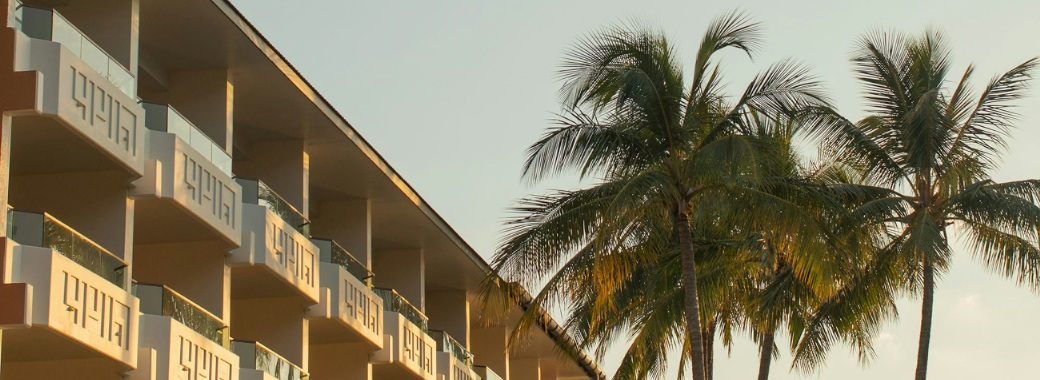 ザ・サンデーズ