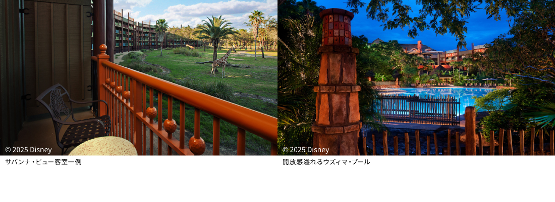 オーランド アメリカ東部 ディズニー アニマルキングダム ロッジ ホテル詳細 海外旅行はトラベルスタンダードジャパン