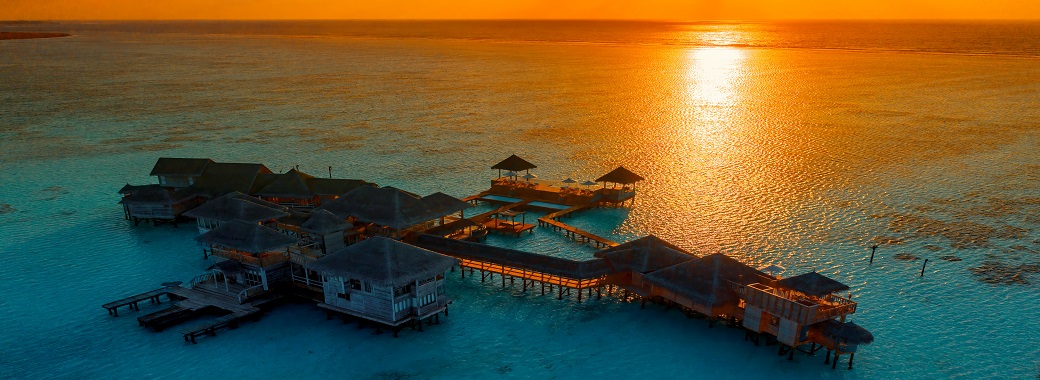 ギリランカンフシ