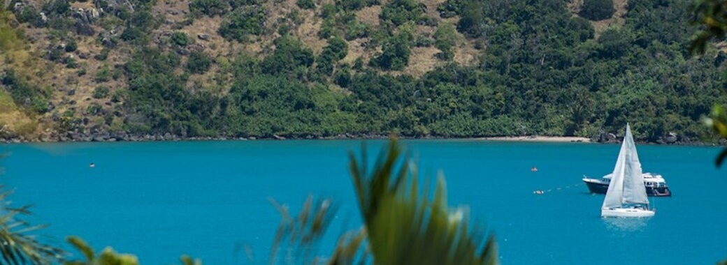 Heliconia Grove 6_風景