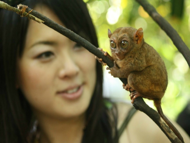 ホボール・リバークルーズ