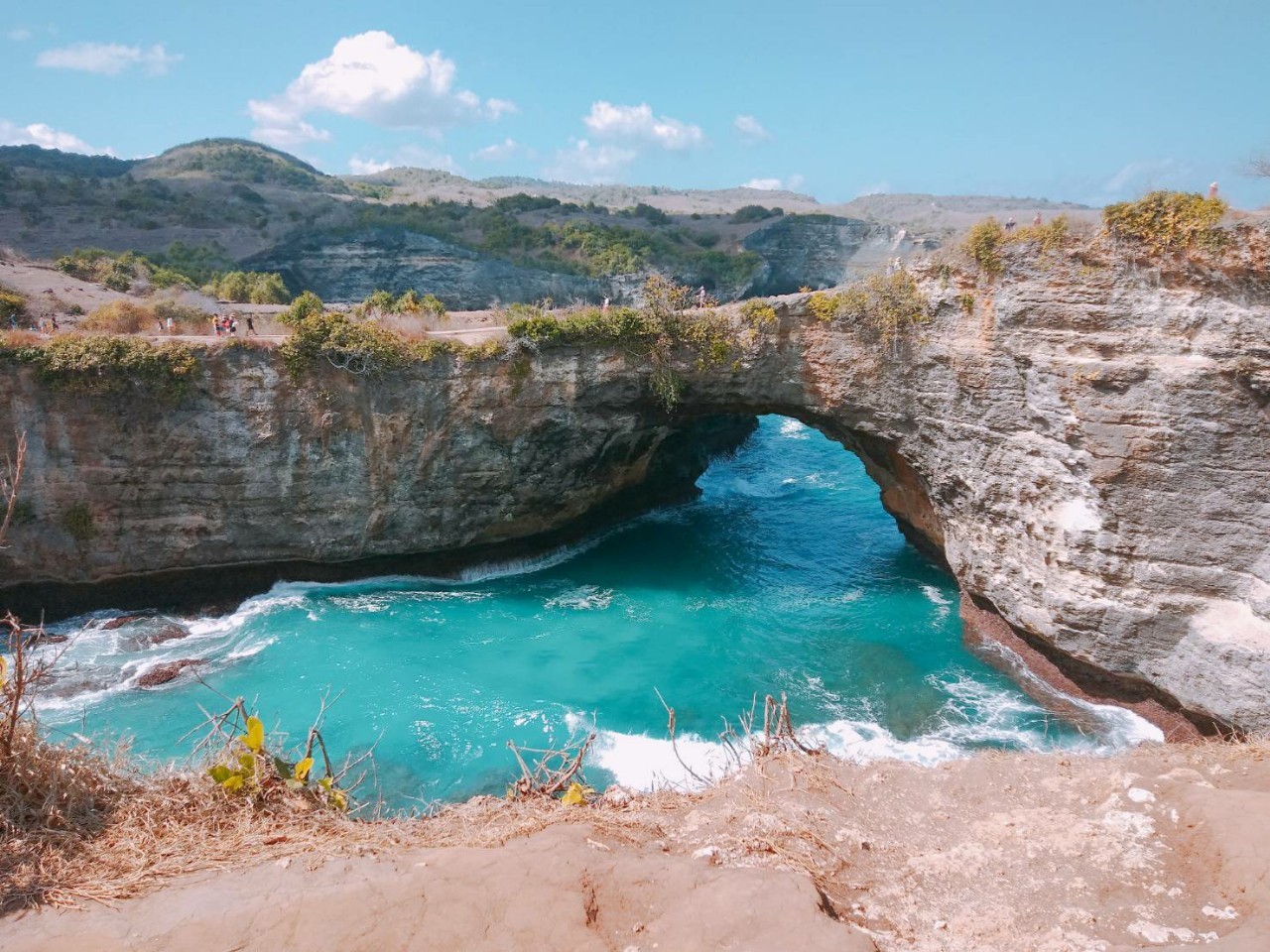 ペニダ島 日帰りツアー