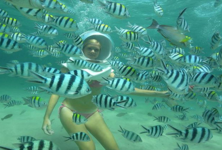 コーラル島イメージ