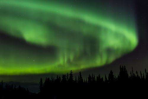 ホワイトホースのオーロラ(イメージ)