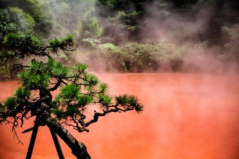◇別府温泉:血の池地獄