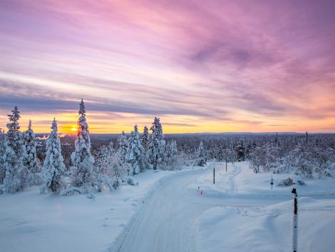 ◇フィンランド：夕暮れの樹氷