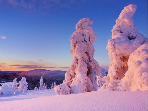 ◇フィンランド:樹氷
