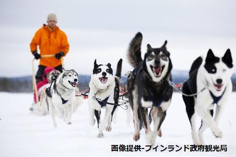 ◇フィンランド：ハスキーサファリ