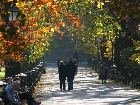 ◇クラクフ：市内