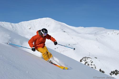 スキーを楽しむ！（イメージ）
