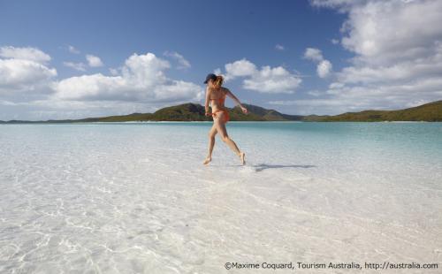 ハミルトン島に来たら是非訪れたい！ホワイトヘブンビーチ